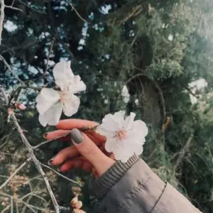 دانلود آهنگ دیدوم کی بنسیز با صدای زن