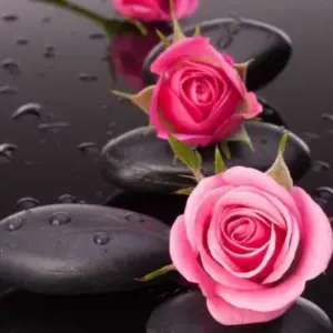 دانلود آهنگ تق و تق در زدم دست پر اومدم