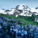 دانلود آهنگ ای سبک رقص بلا تو نکن ناز و بیا