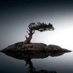 دانلود آهنگ مهیار اون مثل داداشمه هنوز