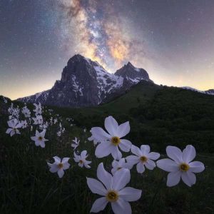 دانلود آهنگ از حالا دیگه من مردم – صدای زن