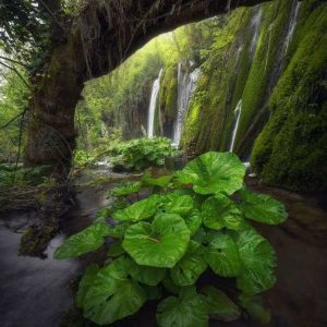 دانلود آهنگ دورم میکنی مجبورم میکنی هوش مصنوعی