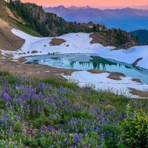 دانلود آهنگ ساعتا دروغ میگن هی نگین برنمیگرده
