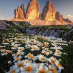 دانلود آهنگ تنها اکسی که میخوام فقط پول اضافس دانلود آهنگ تنها اکسی که میخوام فقط پول اضافس