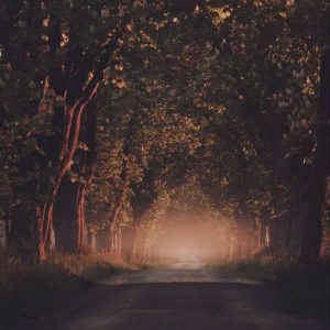 دانلود آهنگ عجب نازی داره دلبر