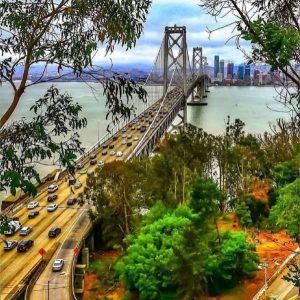 دانلود آهنگ آرزو میکنم فراموشت کنم ترند عربی
