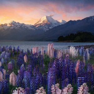 دانلود آهنگ میگم تموم شاعرا برای تو غزل بگن