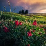 دانلود ریمیکس ترسم از سقوط نیست از ارتفاع بودنه