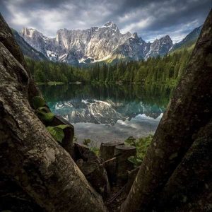 دانلود آهنگ داریوش تبهکار جایزه