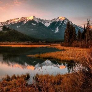 دانلود آهنگ کارو در میارم داداش جون تو