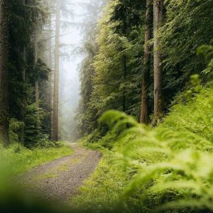 دانلود آهنگ نشد بری آخر از تو یاد من ورژن گیتار صدای پسر