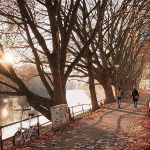دانلود آهنگ داریوش تبهکار کشتارگاه