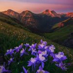 دانلود آهنگ هلیوم اگه برگردی
