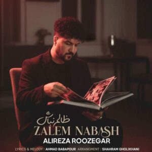 دانلود آهنگ علیرضا روزگار ظالم نباش