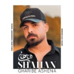 دانلود آهنگ شاهان غریب آشنا دانلود آهنگ شاهان غریب آشنا