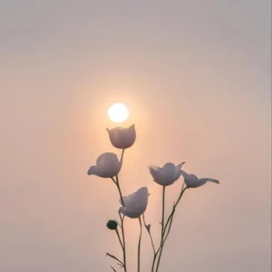 دانلود آهنگ لااقل یبار بگو اشتباهم چی بوده دانلود آهنگ لااقل یبار بگو اشتباهم چی بوده
