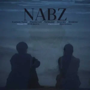 دانلود ریمیکس رضا کرمی تارا و مهدیار و تتلو و سورنا نبض