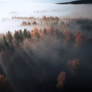 دانلود آهنگ بارون بارونه زمینا تر می‌شه