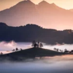 دانلود آهنگ از کجا پیدات شد همه هم و غمم چشمات شد