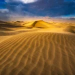 دانلود آهنگ  با اینکه جدا شده راهت من هنوز دوست دارم آره