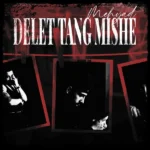 دانلود آهنگ مهیاد دلت تنگ میشه