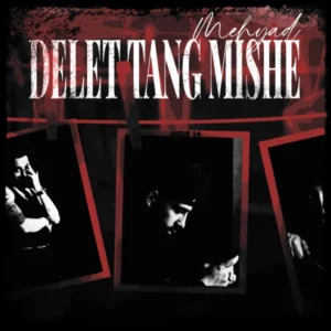 دانلود آهنگ مهیاد دلت تنگ میشه