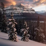 دانلود آهنگ دلیل بودنمی تو خود روحمی