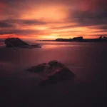 دانلود آهنگ گل منو پرپر کردن رفت ترند