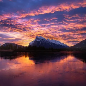 دانلود آهنگ کی شده مرهم دردات کی گوش میده به حرفات دانلود آهنگ کی شده مرهم دردات کی گوش میده به حرفات