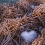 دانلود آهنگ تو حتی بدترین آدم زمینم باشی ما ول نمیکنیم