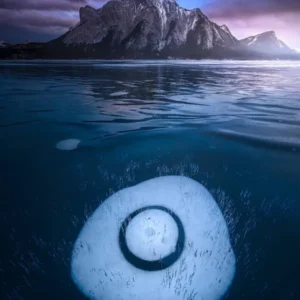 دانلود آهنگ یه شبی از این شبا توام دلت تنگ میشه دانلود آهنگ یه شبی از این شبا توام دلت تنگ میشه