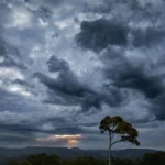 دانلود آهنگ عجل سازینی چالدیم دانلود آهنگ عجل سازینی چالدیم