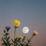 دانلود آهنگ آمار اسموکام پیچیده مازوتی