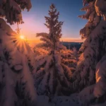 دانلود آهنگ بهمن میکشم چون که بهمن ماهیه دانلود آهنگ بهمن میکشم چون که بهمن ماهیه