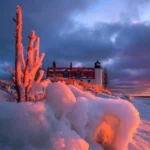 دانلود آهنگ گل منه ادیم ادیم ادینی قلبه یازدیم دانلود آهنگ گل منه ادیم ادیم ادینی قلبه یازدیم