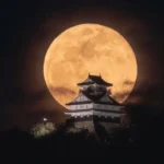 دانلود آهنگ هی ﺗﻮ ﻛﻪ ﺧﻮدت ﻣﻴﺪوﻧﻰ ﭼﺸﻤﺎت ﺑﺎﻫﺎم ﭼﻴﻜﺎر ﻛﺮده