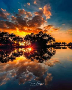 دانلود آهنگ کسی منو درک نکرد مثلت نمیام بیرون هرشب از فکرت