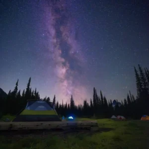 دانلود آهنگ کسی منو درک نکرد مثلت دانلود آهنگ کسی منو درک نکرد مثلت