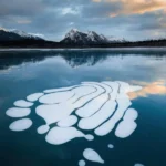 دانلود آهنگ مگه میزارم بری من تازه پیدات کردم مهیار