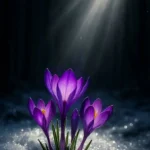 دانلود آهنگ مثل یه خوابه نبودن تو انگار یه قرنه فاصله تا تو