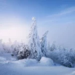 دانلود آهنگ شبا بیدارمو این فکرا نمیزارن