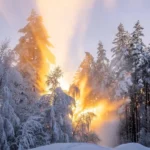 دانلود آهنگ شمعارو فوت کن آرزو کن همیشه بخند و غمارو دود کن