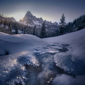 دانلود آهنگ تیات پلنگی والا استایل جنگی والا دانلود آهنگ تیات پلنگی والا استایل جنگی والا