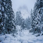 دانلود آهنگ تو که در تاریکی ام دریای نوری