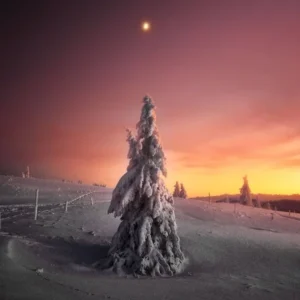 دانلود آهنگ تورو از کجا دیدم از کجا عاشقت شدم ترکی