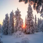 دانلود آهنگ شینقلی نانای ریمیکس ترند