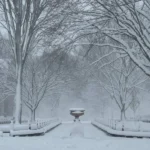 دانلود آهنگ وطن عشق من هموطن جان من ریمیکس ترند