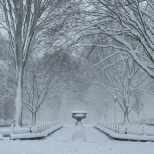 دانلود آهنگ وطن عشق من هموطن جان من ریمیکس ترند دانلود آهنگ وطن عشق من هموطن جان من ریمیکس ترند