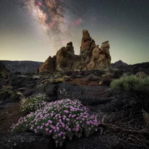 دانلود آهنگ اگه رسیدم کشیدم ریاضت پاش حسام تی ام دانلود آهنگ اگه رسیدم کشیدم ریاضت پاش حسام تی ام