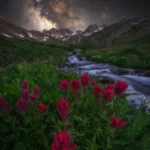 دانلود نوحه از خون جوانان وطن با صدای مرد